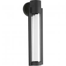 Progress P560056-031-30 - Z-1030 Collection One-Light LED Medium Wall Lantern