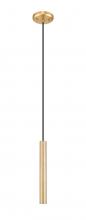 Z-Lite 919MP12-MGLD-LED - 1 LightPendant